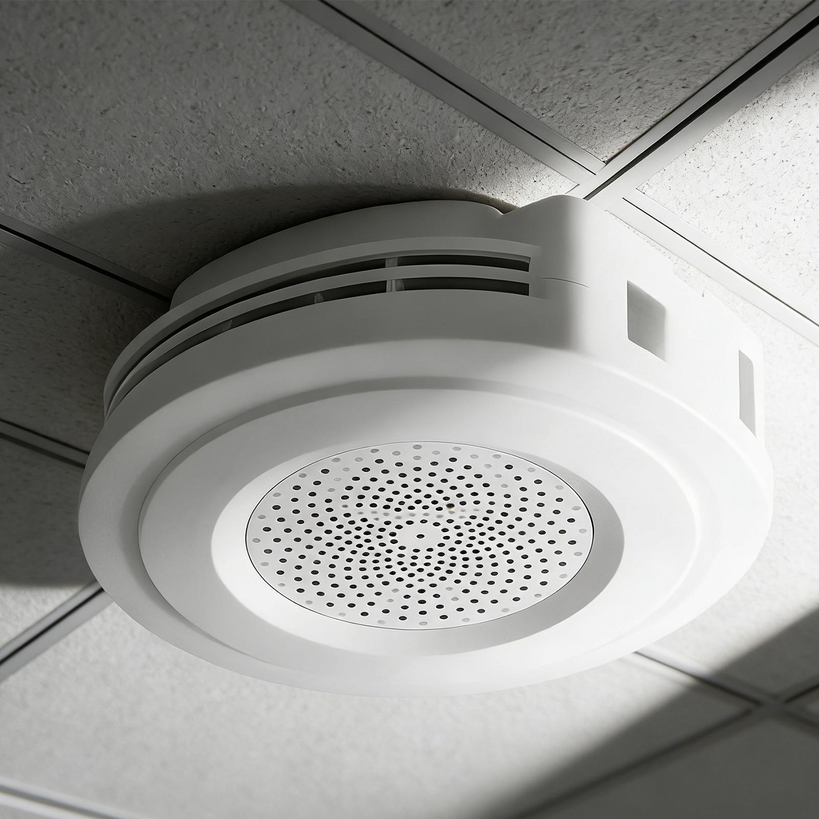 Secret Safe Money Hiding Conta - đánh giá và giá Home Security Ring