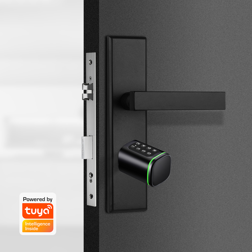 Smart Cylinder Lock Tuya 60-90 - đánh giá và giá Home Security Ideas